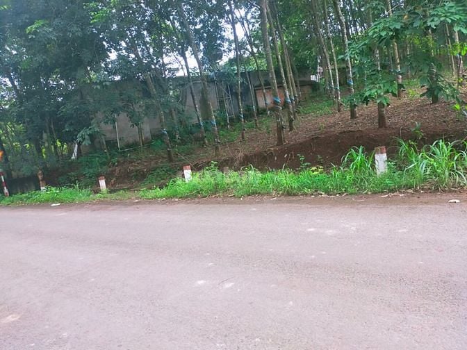 Bán khu đất ở ấp 5, xã tân hiệp, huyện hớn quản, bình Phước 