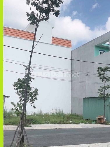 Bán gấp lô C19 diện tích 95m2 cổng lotus, KDC Long Cang giá chỉ 1,35ty