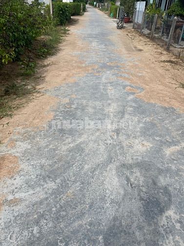 Chính Chủ Bán Gấp Lô Đất Full Thổ Tại Thị Xã Ninh Hòa, Tỉnh Khánh Hòa
