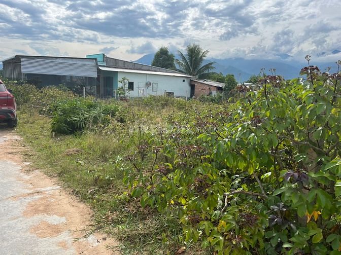 Chính Chủ Bán Gấp Lô Đất Full Thổ Tại Thị Xã Ninh Hòa, Tỉnh Khánh Hòa