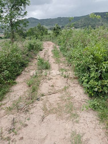 Chính chủ bán lô đất 5916M2 xã Sơn Hà, huyện Sơn Hoà, tỉnh Phú Yên.