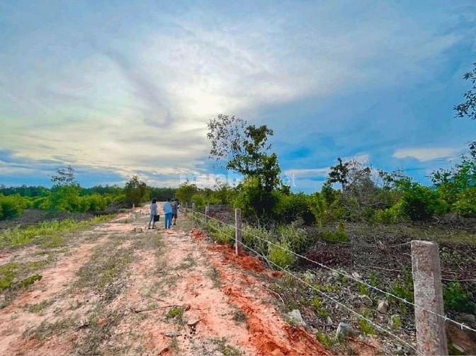 Đất ven biển Bình Thuận vị trí siêu đẹp 