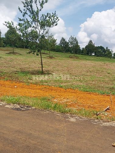 Gần tt T.p Bảo Lộc, view đồi thông, 450m2 sẵn thổ cư, SHR. Giá 675tr