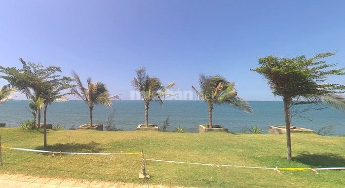 Đất sổ riêng, view biển, XDTD.