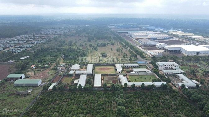 Đất Nền Ngay KCN Trà Đa -  Hồ Trà Đa - Trung Tâm Tp. Pleiku - Gia Lai