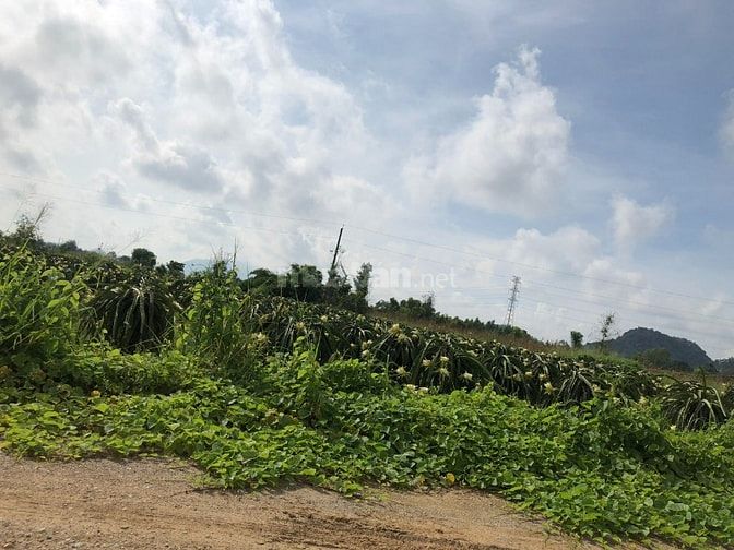  Bán đất cách đường Quốc lộ 500m, gần chùa Tịnh Xá Ngọc Minh