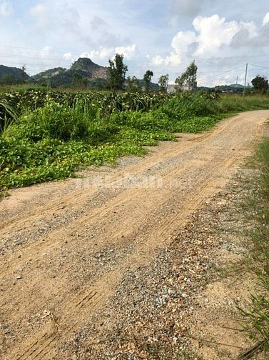 Bán đất cách đường Quốc lộ 500m, gần chùa Tịnh Xá Ngọc Minh