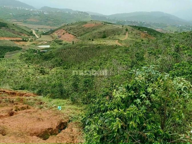 BÁN 2 LÔ ĐẤT CÓ SỔ VIEW ĐẸP TẠI XÃ ĐẠ NHIM HUYỆN LẠC DƯƠNG LÂM ĐỒNG 