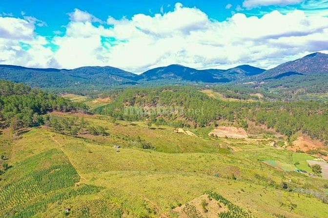 BÁN 2 LÔ ĐẤT CÓ SỔ VIEW ĐẸP TẠI XÃ ĐẠ NHIM HUYỆN LẠC DƯƠNG LÂM ĐỒNG 