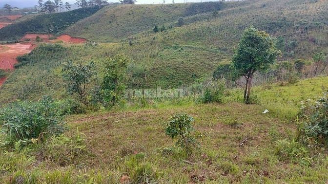 BÁN 2 LÔ ĐẤT CÓ SỔ VIEW ĐẸP TẠI XÃ ĐẠ NHIM HUYỆN LẠC DƯƠNG LÂM ĐỒNG 