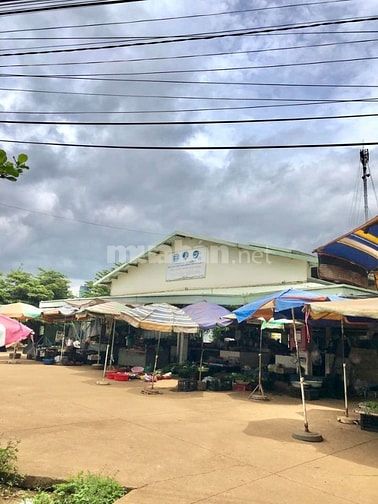 Bán Đất Ngay Chợ 10*50m, 100m2 thổ, cách Cao tốc Tân Phú BL 2,5km.