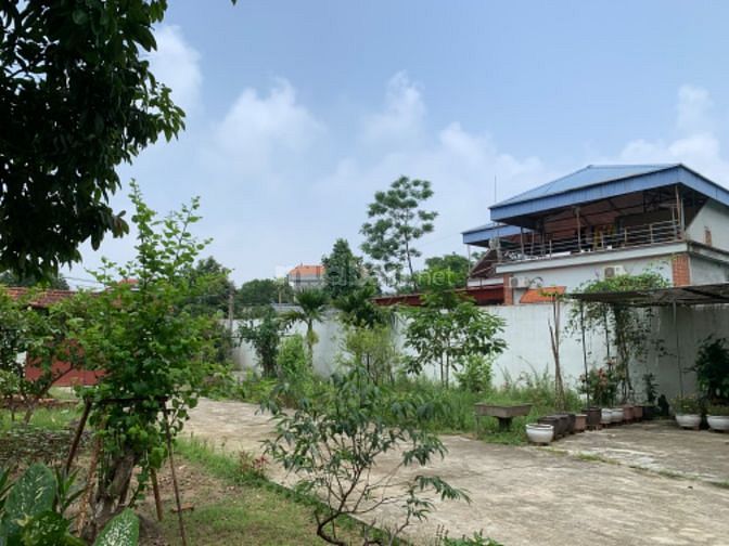Biệt thự sân vườn tại Minh Trí