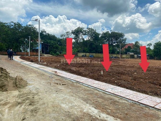 Bán Đất Nền Thổ Cư Mặt Tiền Đường Nhựa Giá Rẻ Đầu Tư