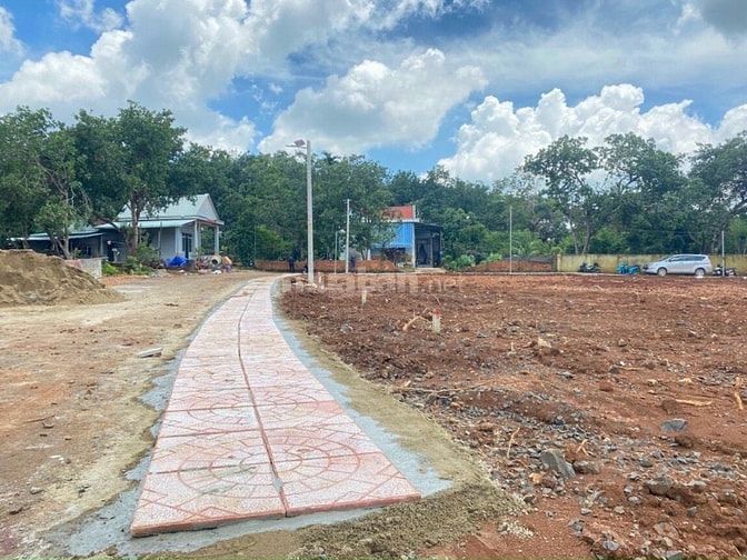 Bán Đất Nền Thổ Cư Mặt Tiền Đường Nhựa Giá Rẻ Đầu Tư