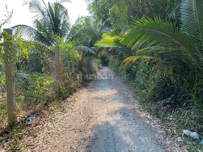 913m2 vườn Bình Đức MT Rạch Cây Gia vị trí được lên thổ cư Giá 1,15 tỷ