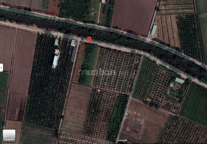913m2 vườn Bình Đức MT Rạch Cây Gia vị trí được lên thổ cư Giá 1,15 tỷ