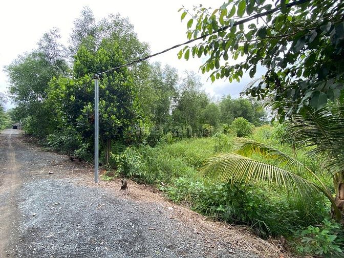 913m2 vườn Bình Đức MT Rạch Cây Gia vị trí được lên thổ cư Giá 1,15 tỷ