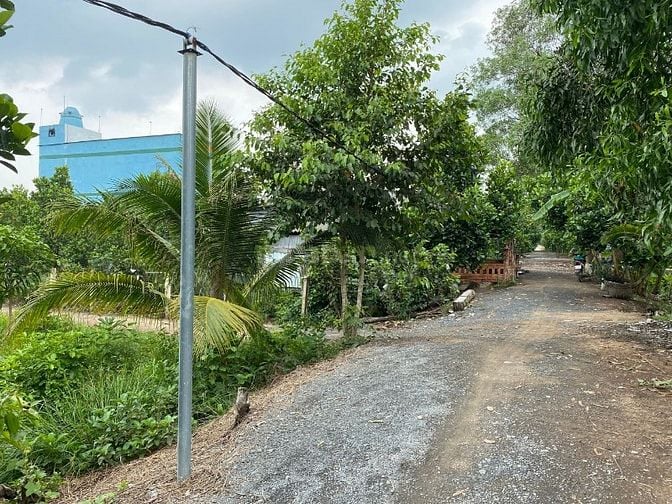 913m2 vườn Bình Đức MT Rạch Cây Gia vị trí được lên thổ cư Giá 1,15 tỷ