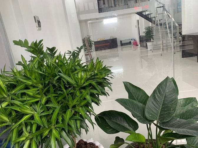 Nhà Măt Tiền, Nguyễn Tiểu La,dt: 70 m2, giá 21,5 tỷ,Phường 8, Quận 10.