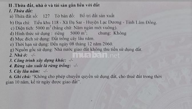 CHÍNH CHỦ BÁN ĐẤT 5000M2- ĐẤT ĐÀ LẠT- LẠC DƯƠNG, LÂM ĐỒNG