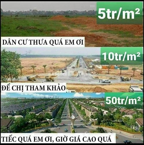 Chuyên mua bán đất liền kề biệt thự dự án Cienco5 Huyện Mê Linh sổ đỏ.