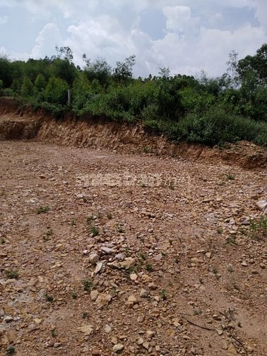Bán đất lô đất 454m2 tại Cẩm Lý - Lục Nam giá 2tr/1m2