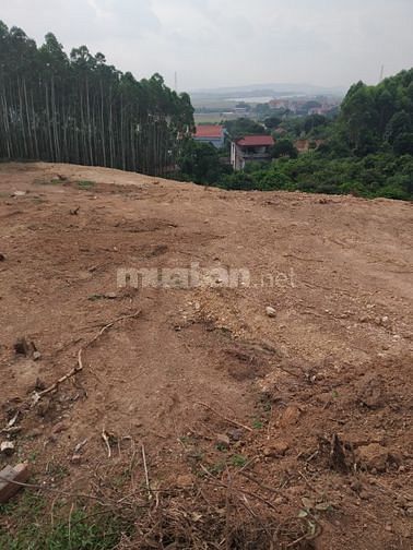 Bán đất vườn 3012m2 giá 850k/1m2 Chiền, Đan Hội, Lục Nam 