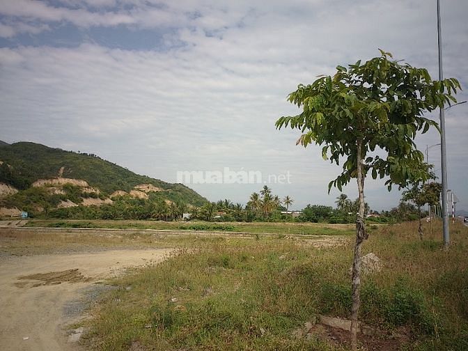Bán lô đất sát đường Bờ kè Sông Tắc, Đồng Nhơn, Vĩnh Trung, Nha Trang