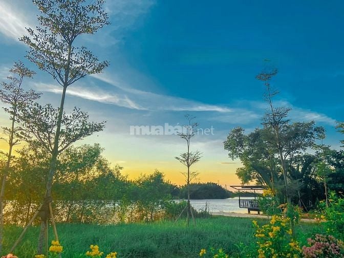 Đất view sông cực đẹp ngay giữa lòng thành phố. Hình thật 100%