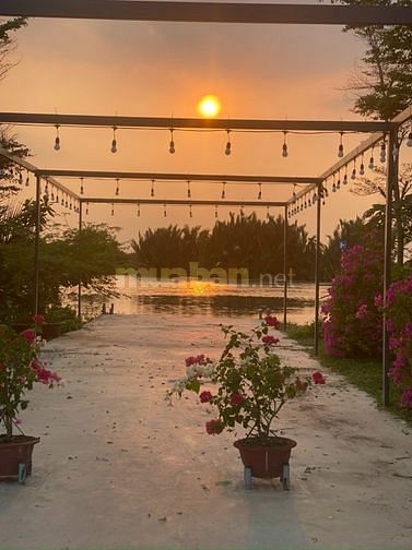 Đất view sông cực đẹp ngay giữa lòng thành phố. Hình thật 100%