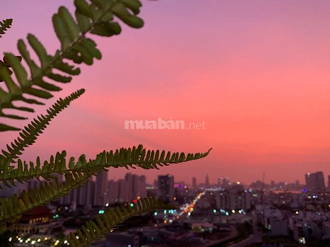 Bán căn hộ chung cư SCREC II An Phú - Quận 2