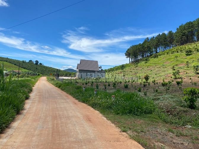 2500m2 Mê Linh - Gân DT725 - DL 16KM- view rừng thông - 1ty/1000m2