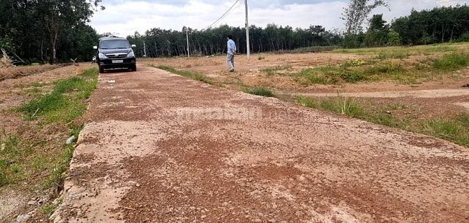Bán Đất Tân Lợi Đồng Phú 250-300m2 TC 100m2