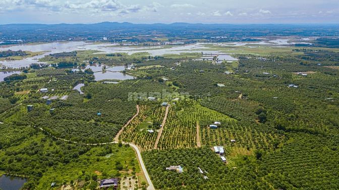 Bán Đất Vườn Xã La Ngà, Định Quán, Đồng Nai 1 triệu/m2