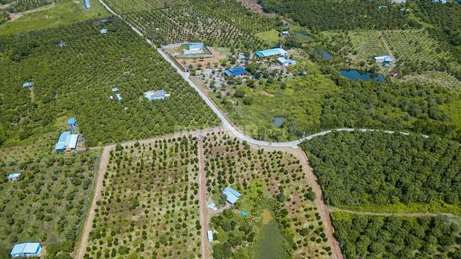 Bán Đất Vườn Xã La Ngà, Định Quán, Đồng Nai 1 triệu/m2