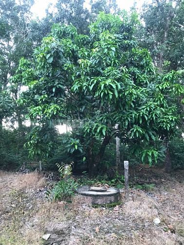 cần tiền bán gấp lô đất ngay sau uỷ ban 
