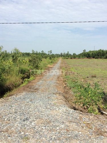 600m2 đất vườn xã Bình Đức, Kênh Biện Cung