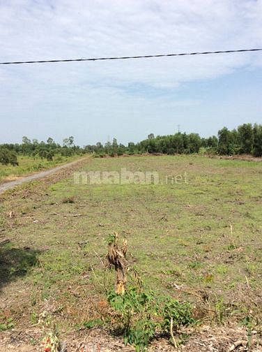 600m2 đất vườn xã Bình Đức, Kênh Biện Cung