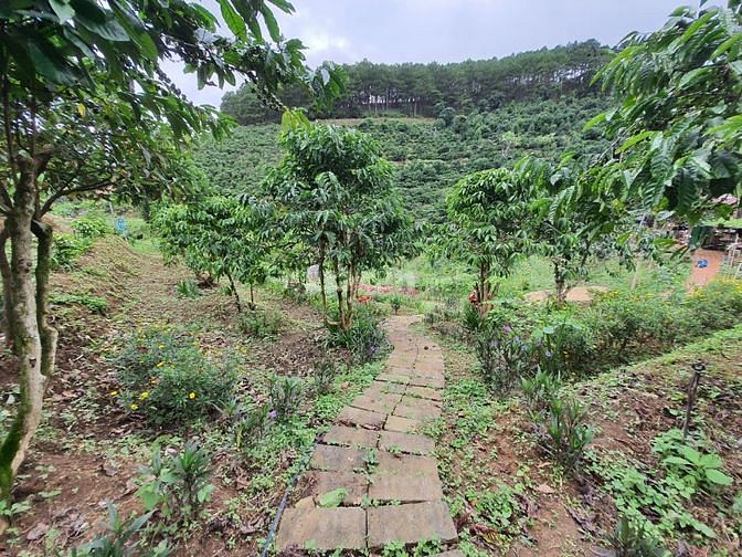 Bán đất nghỉ dưỡng Mê Linh, Huyện Lâm Hà, Tỉnh Lâm Đồng 
