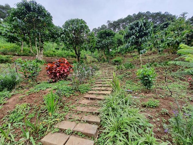 Bán đất nghỉ dưỡng Mê Linh, Huyện Lâm Hà, Tỉnh Lâm Đồng 