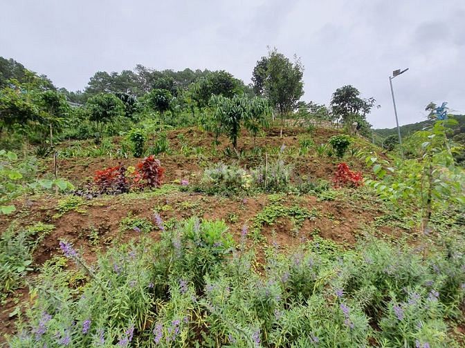 Bán đất nghỉ dưỡng Mê Linh, Huyện Lâm Hà, Tỉnh Lâm Đồng 