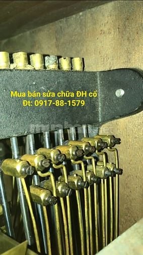 Bán đồng hồ ODO 10 côn gông 111- treo tường quả lắc cổ ODO 62 54 36/10