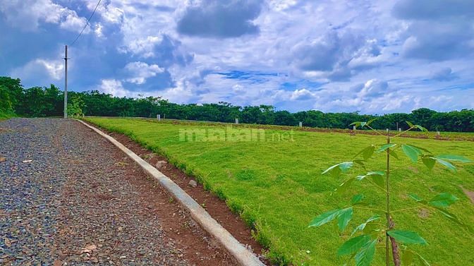 12 Lộc An 100-200m2 full thổ cư ngay ql20 đường oto shr giá 570tr