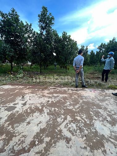 Đất Đồng Tiến 5x50x100m2 thổ cư gần nhà văn hoá Suối Binh