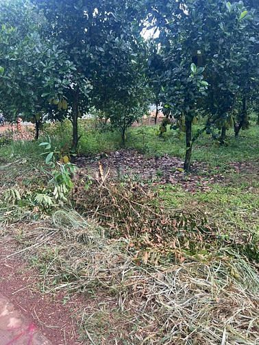 Đất Đồng Tiến 5x50x100m2 thổ cư gần nhà văn hoá Suối Binh