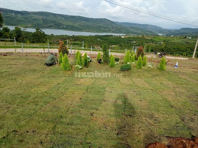 Bán lô đất Di Linh 1360m2,_View sông, săn mây, đường 6m_tặng Homestay