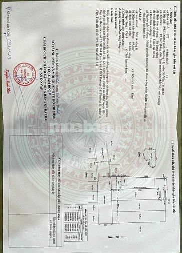 Bán lô đất đẹp hẻm xe hơi (4,65x20) 194/5 Đường số 8 P11 Gò Vấp 