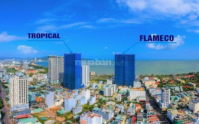 Sở hữu căn hộ trực diện biển Quy Nhơn, giá chỉ từ 1,6 tỷ