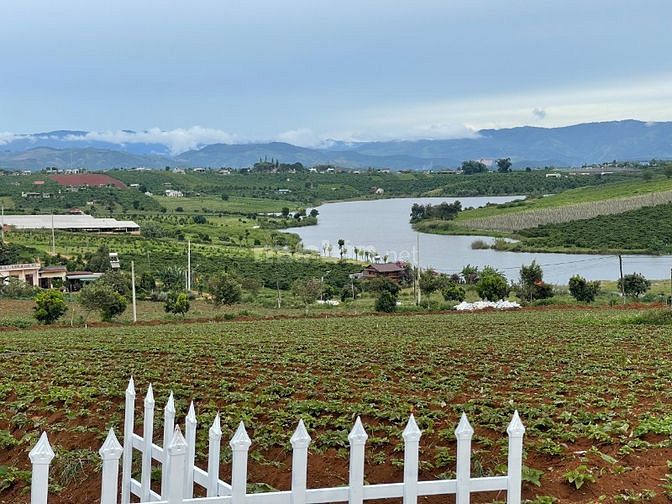 Bán đất view hồ Phúc Thọ 552m2, sổ đỏ full thổ cư