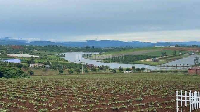 Bán đất view hồ Phúc Thọ 552m2, sổ đỏ full thổ cư